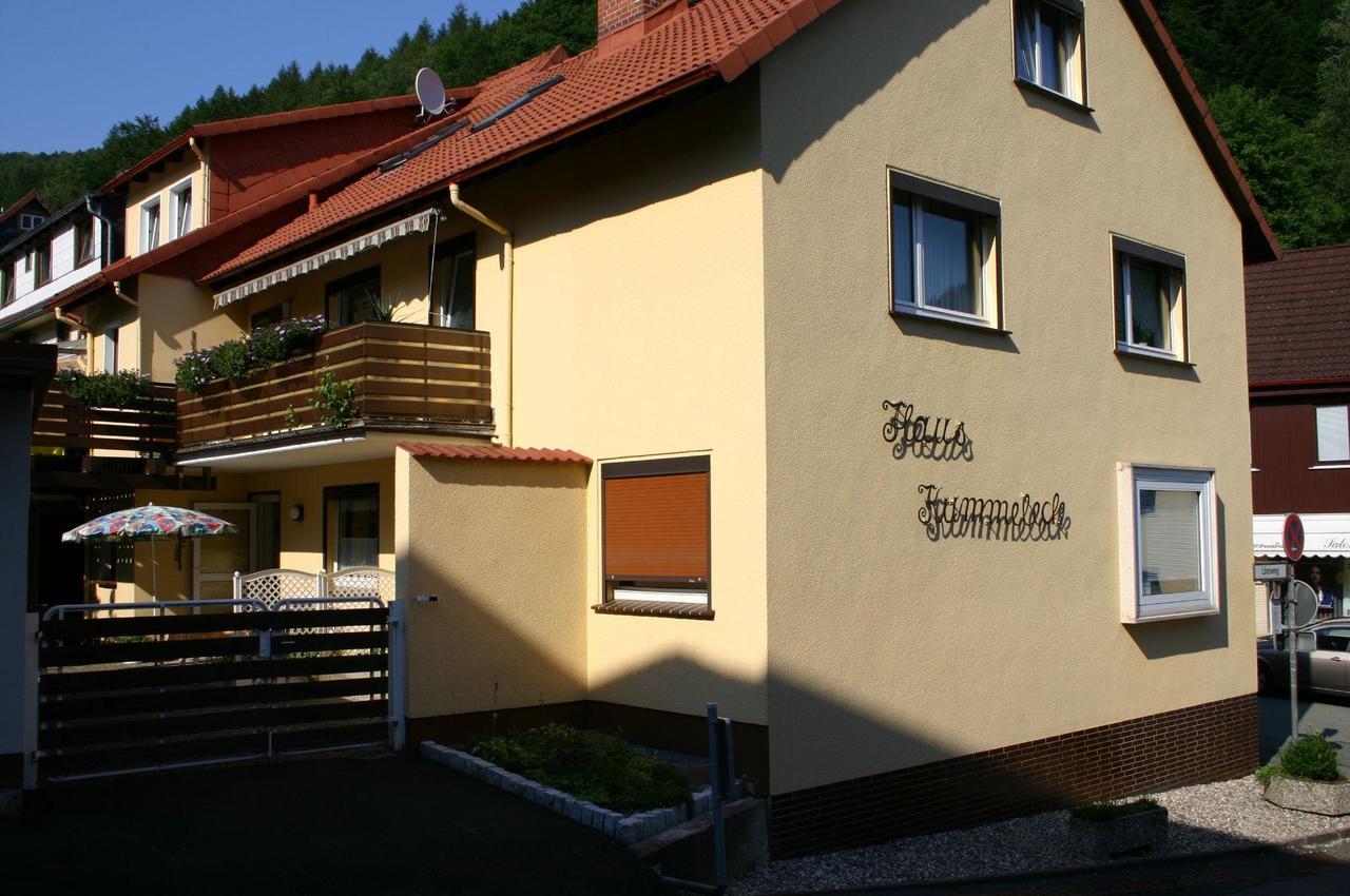 Haus-Kummeleck-Wohnung-3 Bad Lauterberg Exterior photo